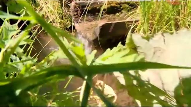 Уральский диалект