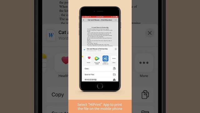 HPRT FT880 A4 paper width thermal printer HPRT FT880 Термопринтер A4 шириной бумаги смотреть онлайн