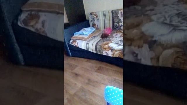 Ну чего вы звоните??? смотреть онлайн