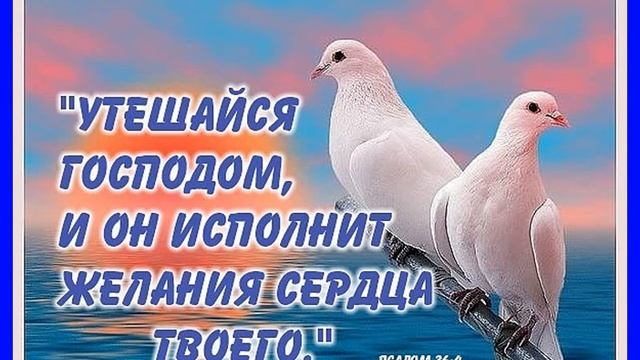 Пророчество ц Мариуполя 1 много переживала 2 единство когда вы общаетесь смотреть онлайн