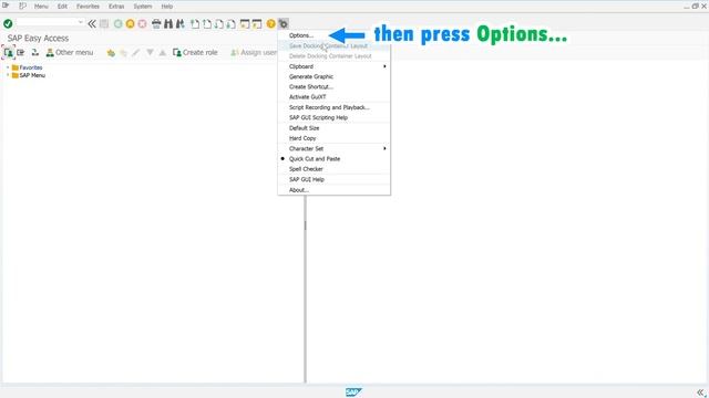 SAP: Using WebView2 instead of Internet Explorer, the setting of SAP GUI for Windows Release 7.70 смотреть онлайн