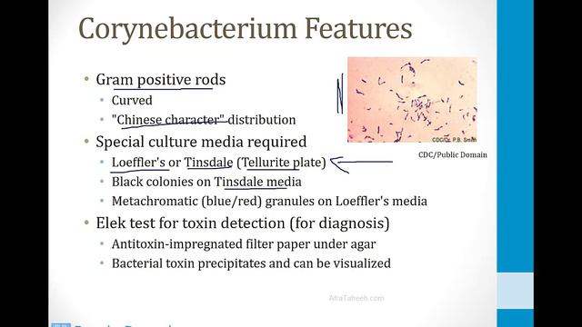 Infectious Diseases - 2. Bacteria - 3.Other Gram Positives Atf
