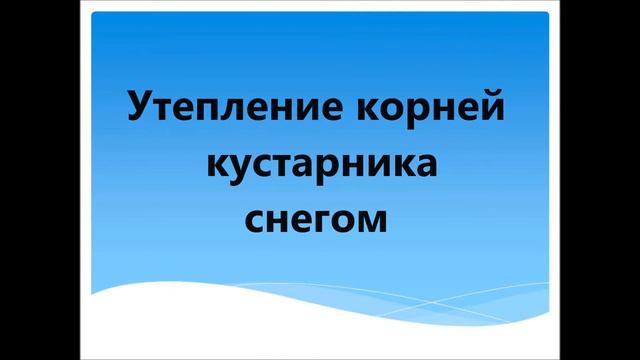 проект Пришла зимушка зима смотреть онлайн
