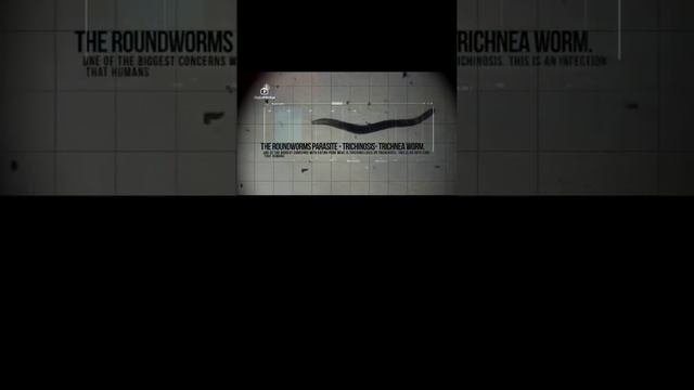 Почему свинина вредно для человека смотрите анализ смотреть онлайн