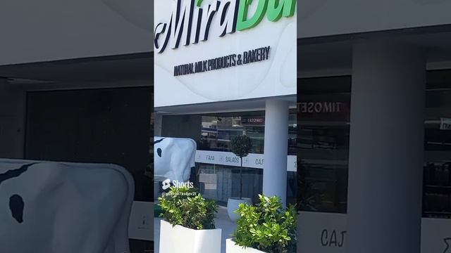 Кипр, Лимасол, магазин, корова, витрина, молочный, сладости, мира дар