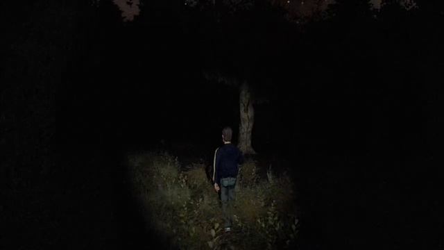 White Noise Online (Xbox live indie game) - Final Part (3/3) смотреть онлайн