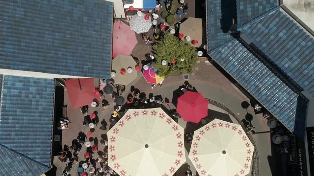 The U.S.-Japan Council: A Decade Of Fostering Leaders