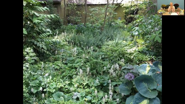 Selecting And Planting Bulbs