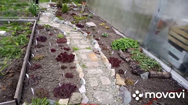 ?♀️Мой молодильник. Три года к этому готовилась!!!? смотреть онлайн