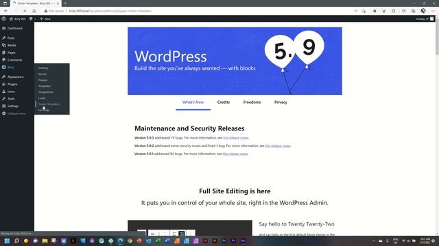 NEW! Starter Templates - Easy one-click starter sites for Brizy WordPress in 2022 смотреть онлайн