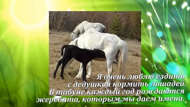 Рассказ Динары Михайловой о лете. 3в класс МОБУ СОШ 20 смотреть онлайн