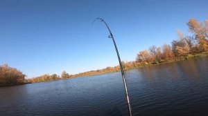 Краснопёрка на спиннинг/Ловля на микроджиг/«Белая» рыба на спиннинг/Влияет ли цвет приманки на клёв