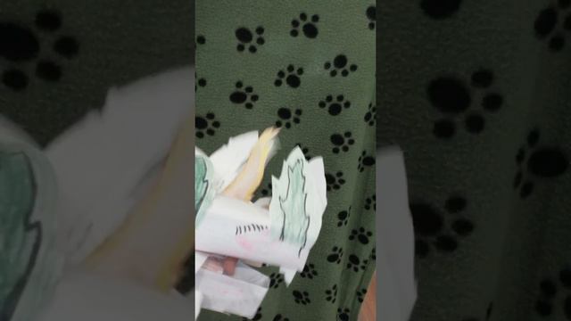 @DCofUni_au @WolfXKris что делают драконы пока меня нет смотреть онлайн