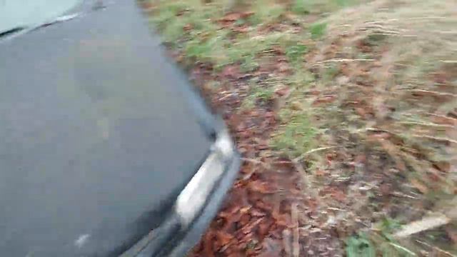 Présentations De Plusieurs Véhicule Abandonné Sur Le Terrain De Mon Grand Père Peut être Sauvable