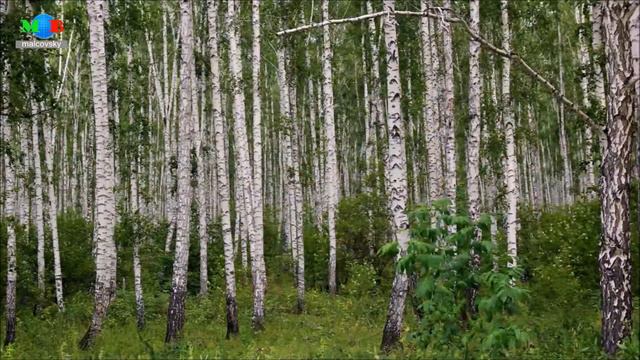 Пейзажи Южного Урала Часть2 Landscape of Southern Urals Part2 смотреть онлайн