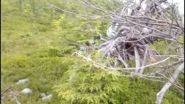 Заброшенный ветряк в горах!!! смотреть онлайн
