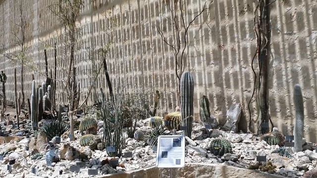 Montpellier, Le jardin botanique et Le jardin des plantes. смотреть онлайн