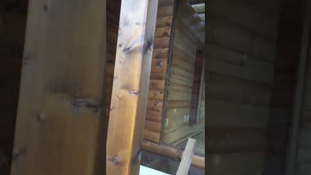 Баня из сруба внешняя покраска смотреть онлайн