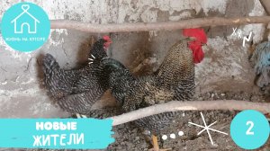 №002 - Новые жители - Жизнь на хуторе