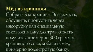 Целебные свойства сока из Крапивы