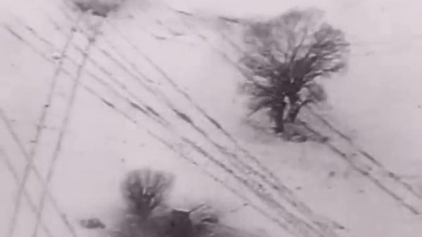 Асы Люфтваффе / Luftwaffe Aces