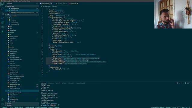 Better Magento 2 workflow using laravel mix смотреть онлайн