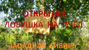 Открытая ловушка  на пчёл. Рамки на 145 с с ушью сколачиваем и убираем под крышу и устанавливаем.
