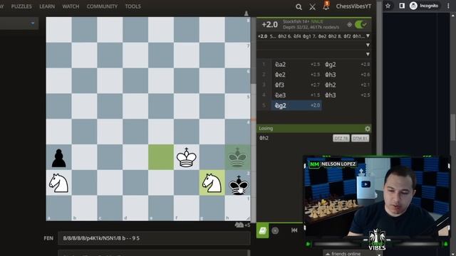 I Hacked Stockfish's Code To Learn How It Thinks (Part 1) смотреть онлайн