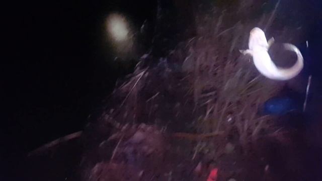 Рыболовное Богатство