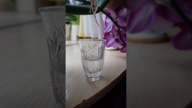 Размножение Оксалис, Кислица смотреть онлайн