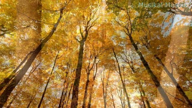 Музыка для Души. Осень. Alexander Nakarada - Mysterious Adventure (Музыка без АП.No Copyright Music смотреть онлайн