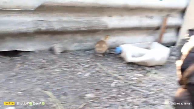 Наша маленькая ферма ✅