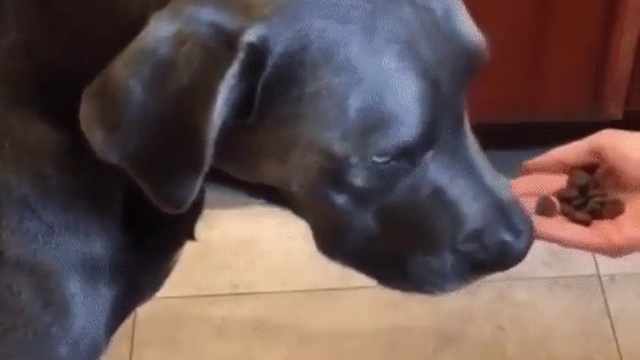 Верить нельзя никому. смотреть онлайн