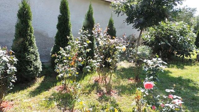 Венгрия. Венгерская дача. Уголок сада с колодцем смотреть онлайн