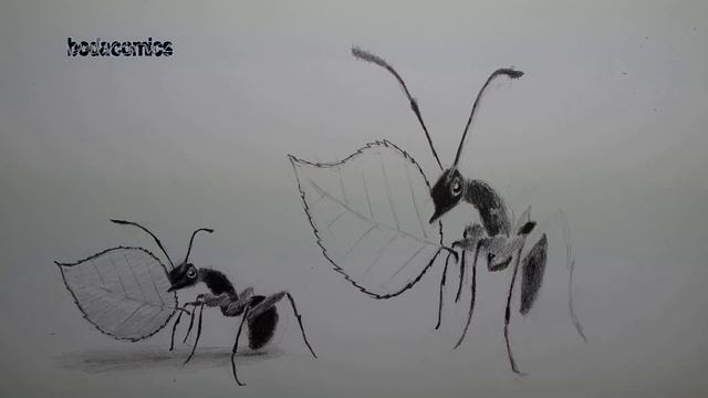 2D and 3D ant. 2D и 3D муравей. BODACOMICS смотреть онлайн