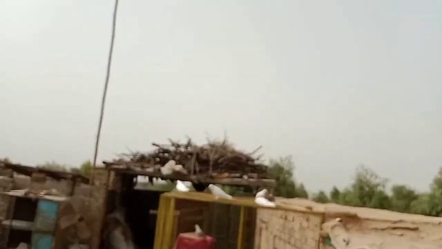 Aaj Ek New Bacha Bahg Gea Mari Galti Se смотреть онлайн
