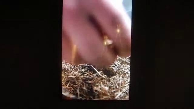 Как добывали огонь первобытные люди - Музей палеонтологии в г.Ницца (Франция, 22.09.2019г.) смотреть онлайн