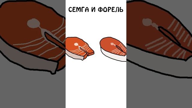 "Как различить Семгу и Форель" #академияброкколи #животные #shorts #анимация #шортс #продукты смотреть онлайн
