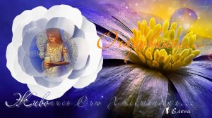 Очарование  *   Живопись Sue Halstenberg