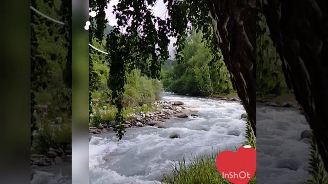 творчество смотреть онлайн