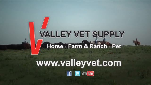 DocTalk - Receiving Calf Nutrition And Health 720p