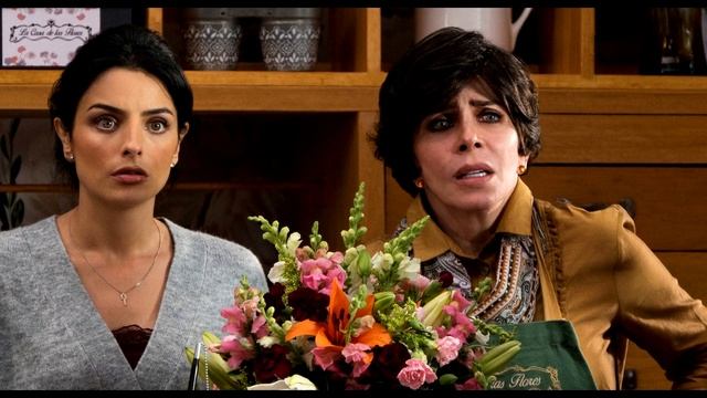 Как сложилась жизнь ВЕРОНИКИ КАСТРО актрисы "БОГАТЫЕ ТОЖЕ ПЛАЧУТ" и "ДИКАЯ РОЗА" смотреть онлайн