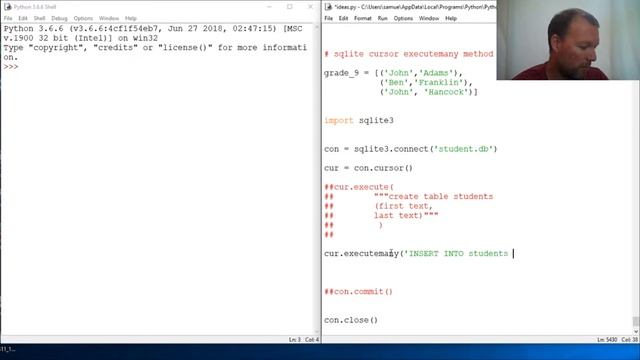 Python Basics Sqlite Cursor Executemany Method смотреть онлайн