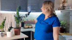 Замиокулькас Зензи Zenzi - уход в домашних условиях