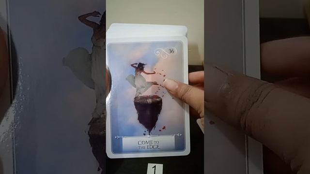 Wisdom of the oracle Cards Flip Through Review Close up смотреть онлайн