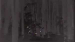 Защита от тепловизора. Как спрятаться_