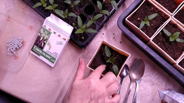 переваливаем перчик из кассеты в стаканчик, и что добавляем 👍 смотреть онлайн