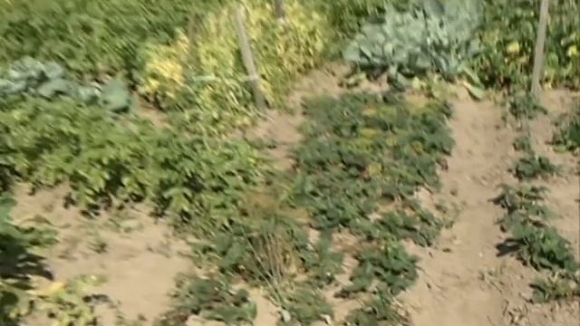 В Новках нет воды в колонке смотреть онлайн