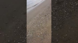 Рыбалка на жереха на реверсивный кораблик река Кама