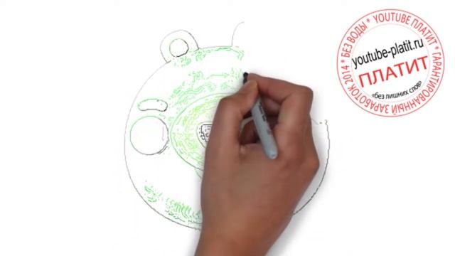 Angry birds онлайн Как нарисовать angry birds поэтапно карандашом смотреть онлайн